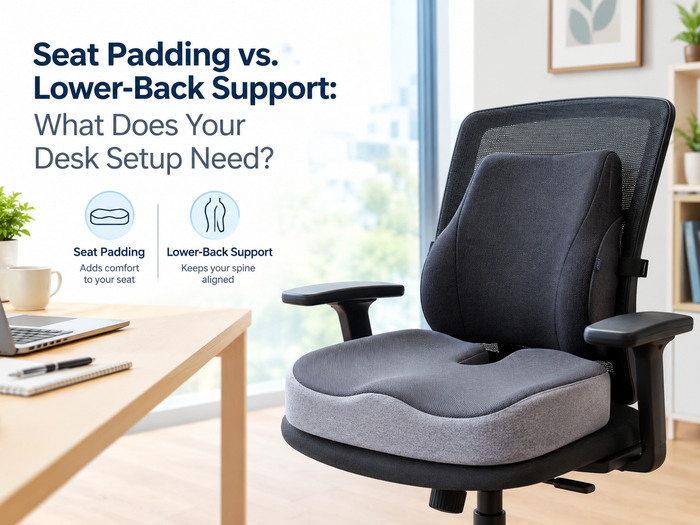 Seat Padding vs. Lower-Back Support: What Does Your Desk Setup Need?