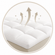 Plush Comfort