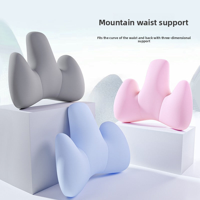 Lumbar Support Cushion 2