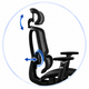 Ergonomic Support