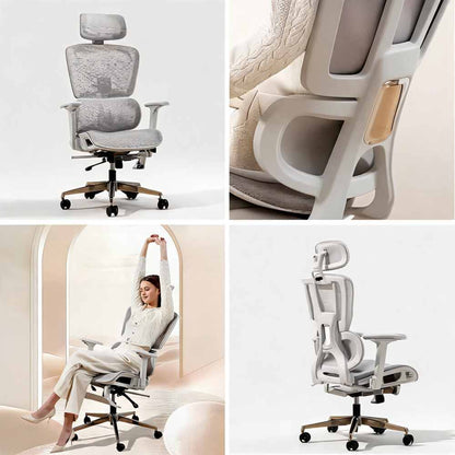 Ergonomic Adjustable Office Desk Chair with Lumbar Support Vendula Care  (2)