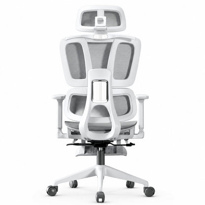 Ergonomic Adjustable Office Desk Chair with Lumbar Support Vendula Care  (7)