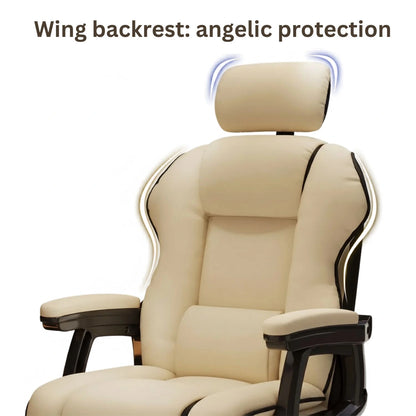 Ergonomic Computer Chair for Home Office and Back Support Vendula Care 7