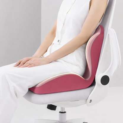 Ergonomic Memory Foam Seat Cushion with Lumbar Back Support Vendula Care 01