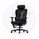 Ergonomic Support