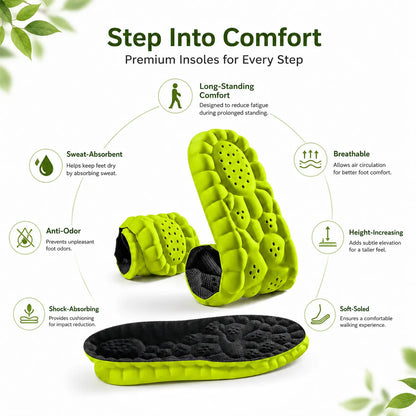 Insole for Foot Comfort, Arch Support & Everyday Cushioning Vendula Care 5
