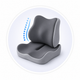 Lumbar Support
