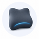 Lumbar Support