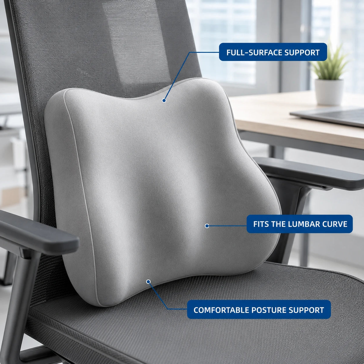 Lumbar Support Office Chair Cushion & Latex Seat Cushion Vendula Care 05