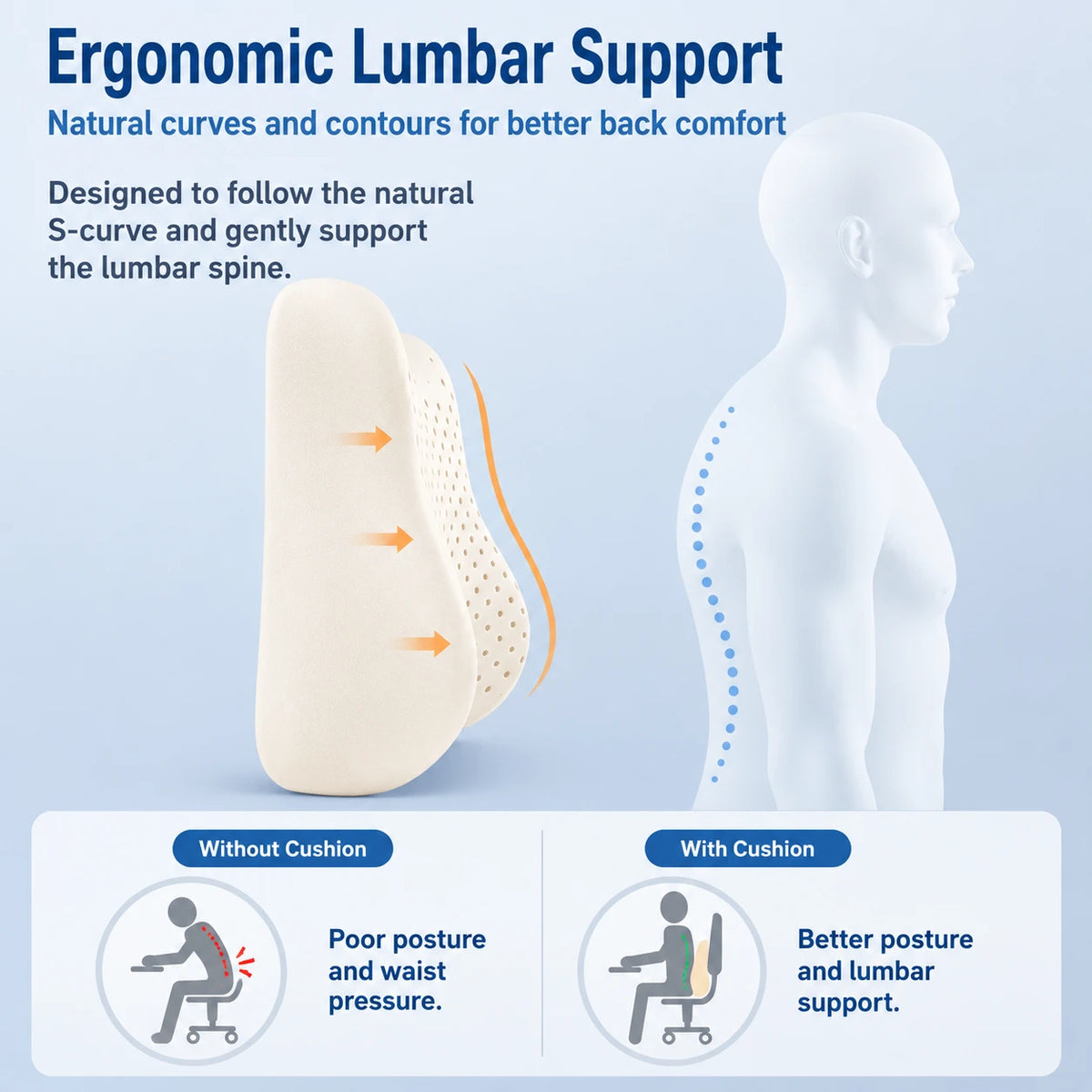 Lumbar Support Office Chair Cushion & Latex Seat Cushion Vendula Care 06