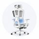 Lumbar Support