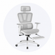 Retractable Footrest
