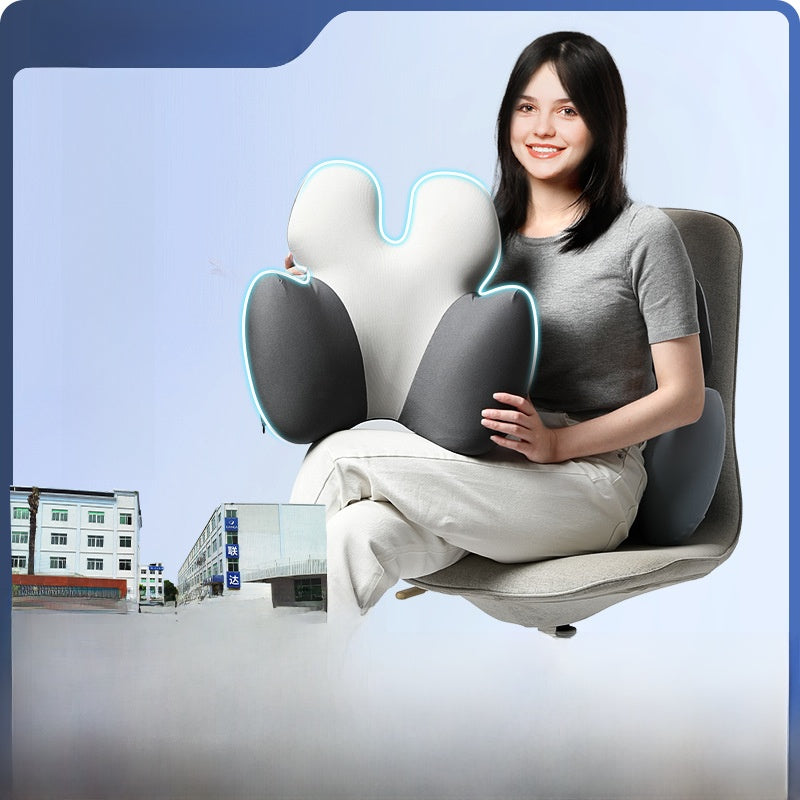 Lumbar Support Cushion/pillow for Those Who Sit for Long Periods 5