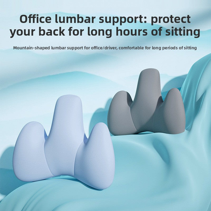 Lumbar Support Cushion 4